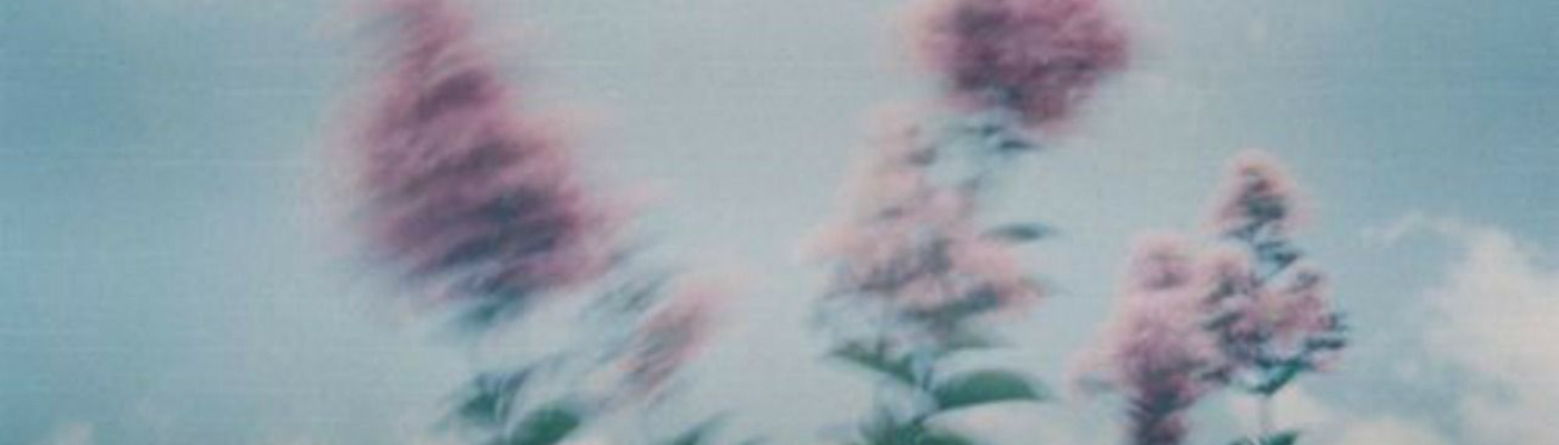 Profile banner image for RenaeBrynn