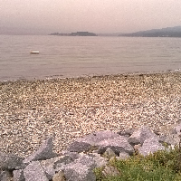 Profile avatar image for BMag