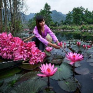 Profile avatar image for fear8wonder