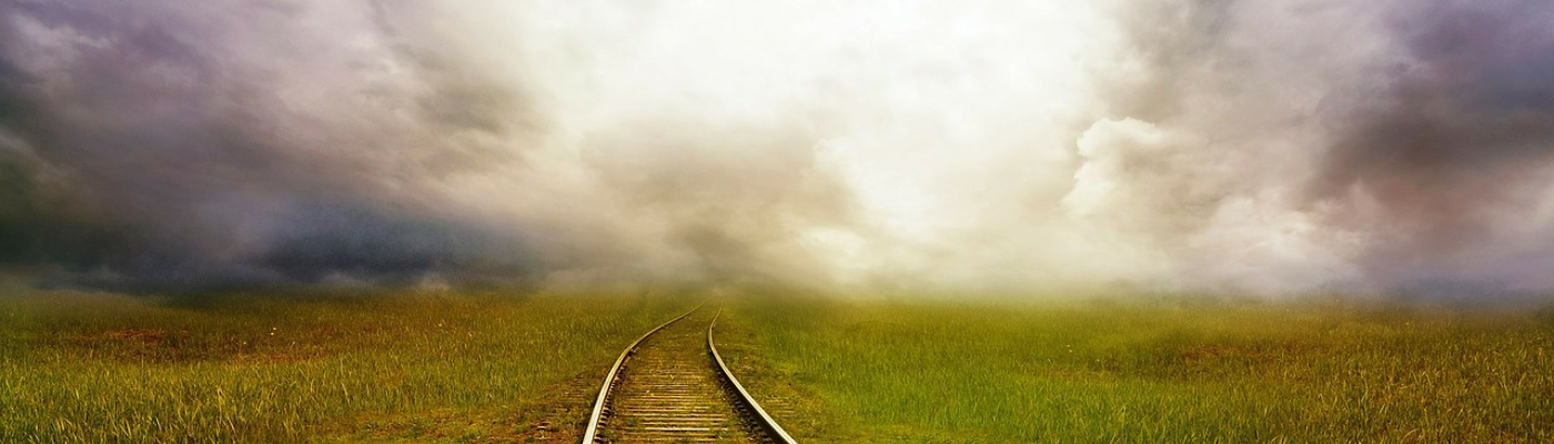 Profile banner image for LittlOwlegion