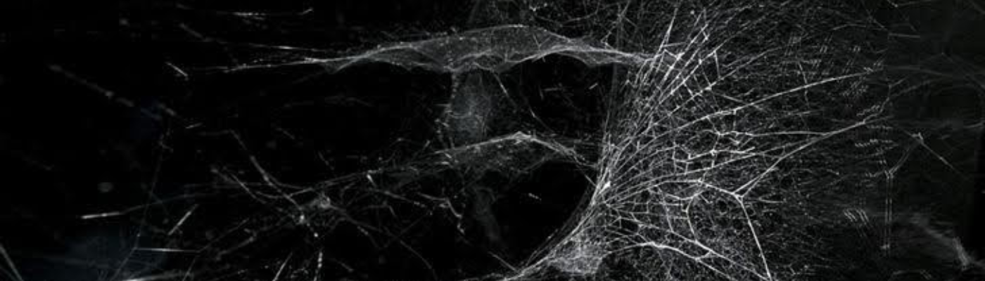 Profile banner image for nerodionysus