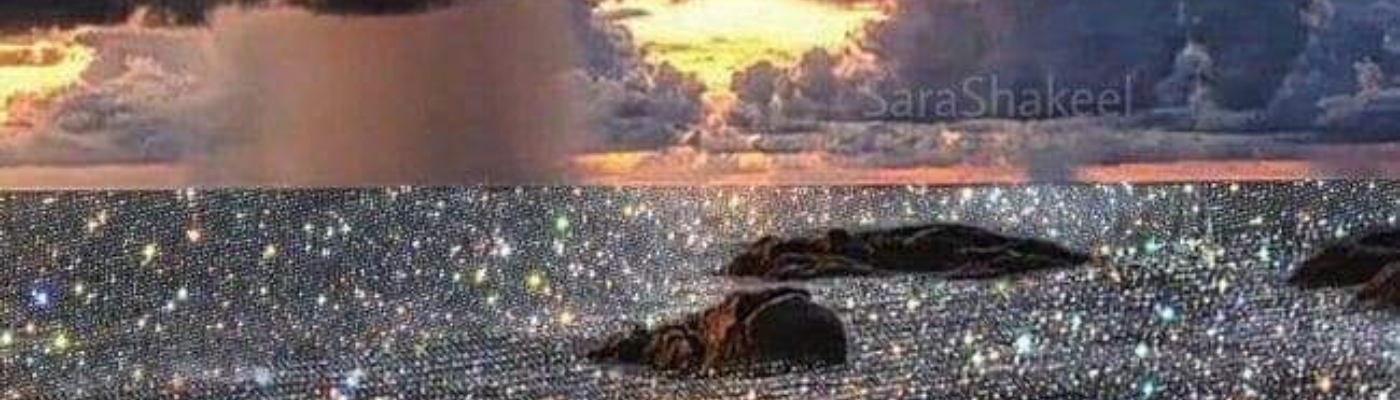 Profile banner image for Nida