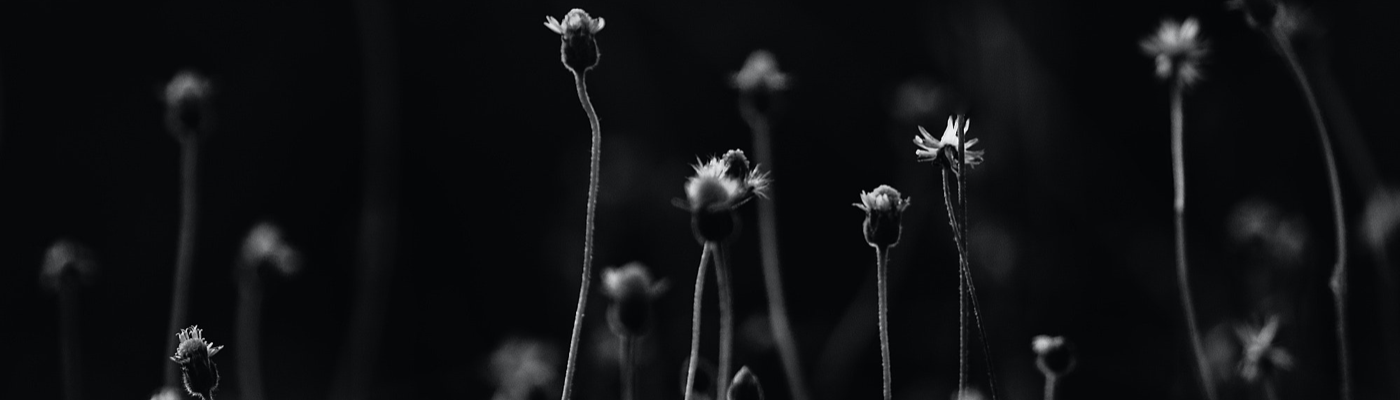 Profile banner image for RichardBrook