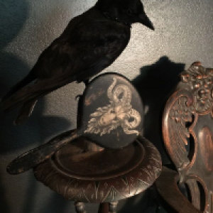 Profile avatar image for theescapist