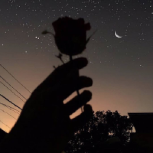 Profile avatar image for LaLaRose