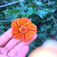 Profile avatar image for hiddeninview