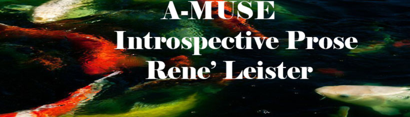 Profile banner image for ReneLeister