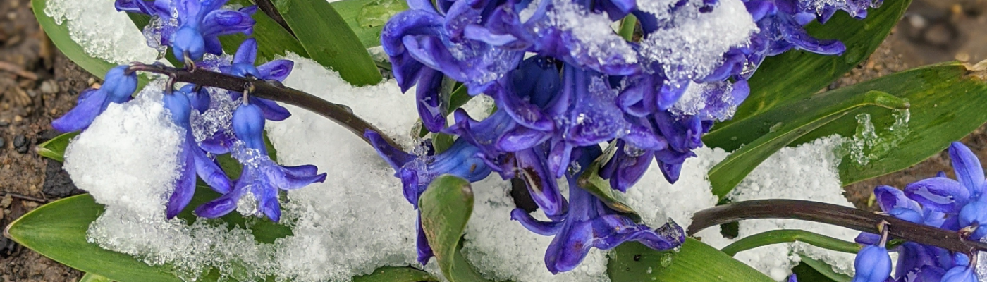 Profile banner image for Mae6213