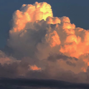 Profile avatar image for SheilyLee