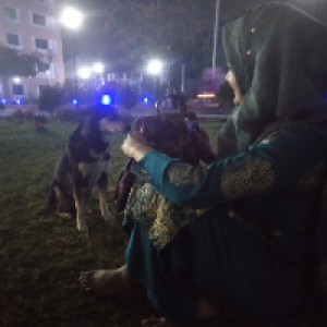 Profile avatar image for Shakirahaider