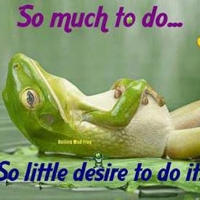 Profile avatar image for ReasonA