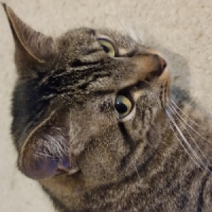 Profile avatar image for abbys895