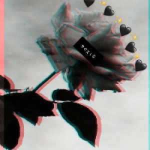 Profile avatar image for shreeyaaaa1