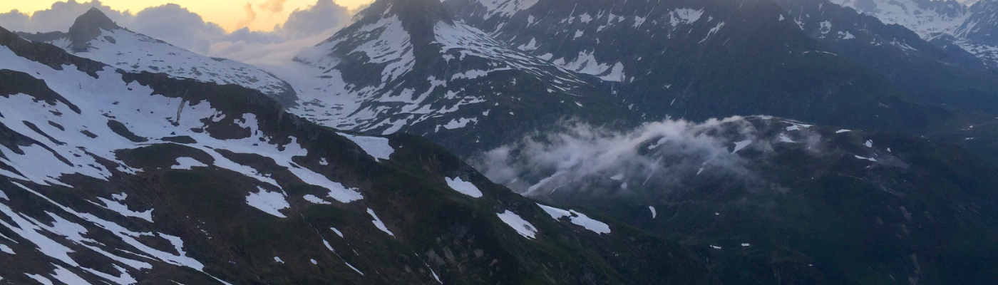 Profile banner image for Annista