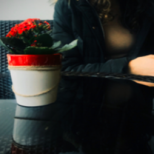 Profile avatar image for louiseevskyanna