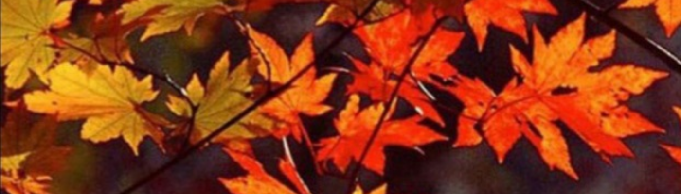 Profile banner image for Estherjete