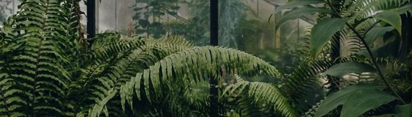 Profile banner image for Pithypoetry