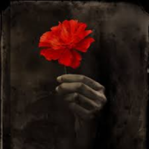 Profile avatar image for Pithypoetry