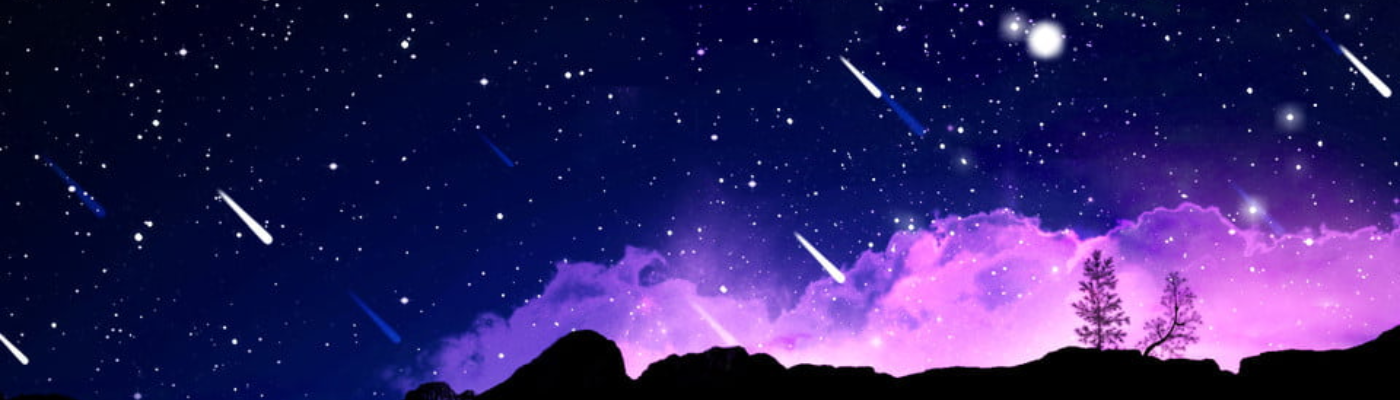 Profile banner image for ladybell