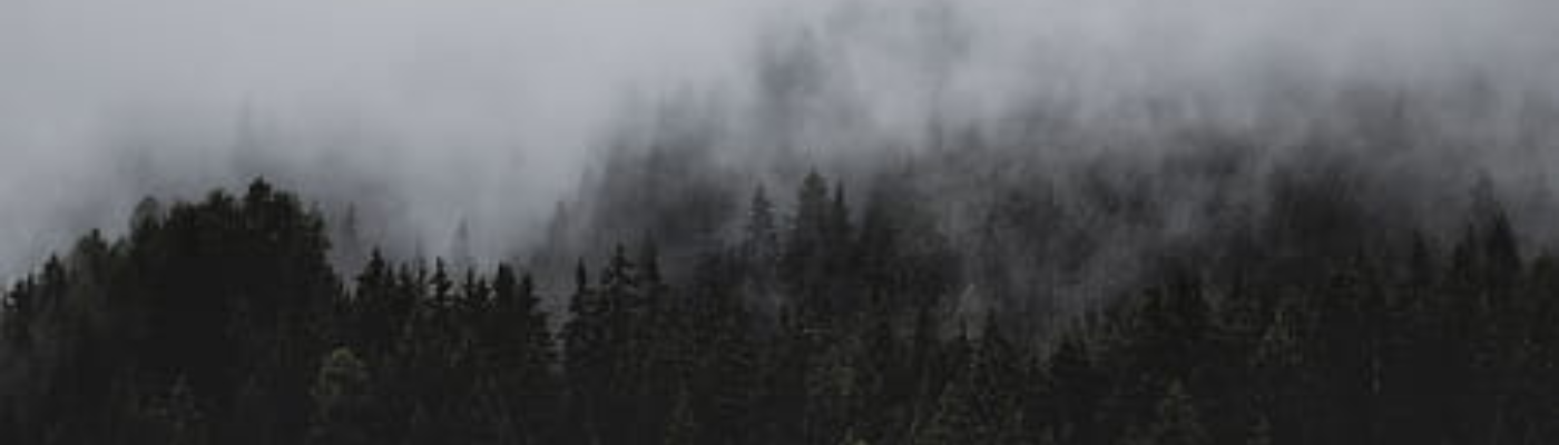 Profile banner image for miranda_s22