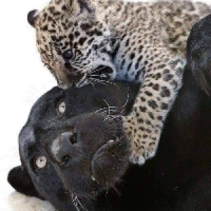 Profile avatar image for WendyEire