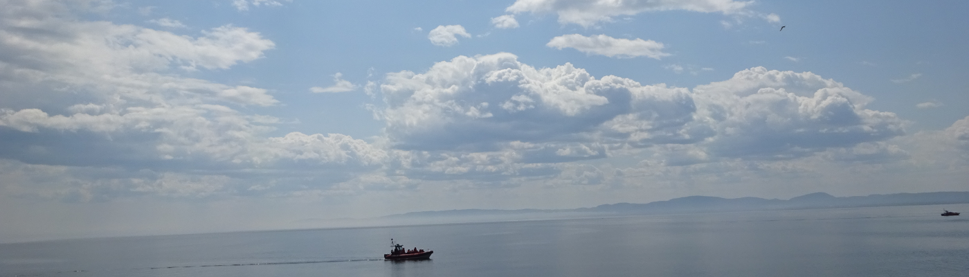 Profile banner image for Ayoeridani