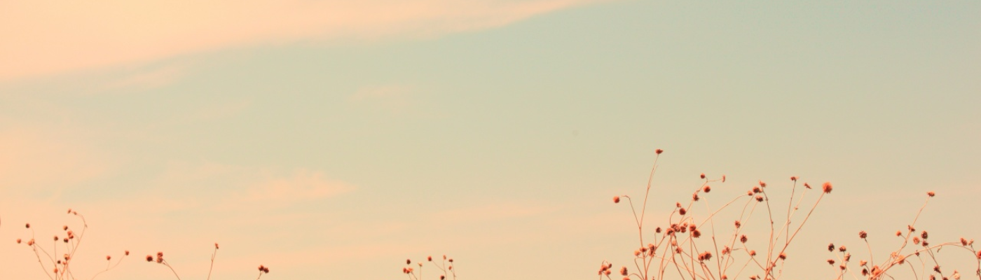 Profile banner image for MadisonR