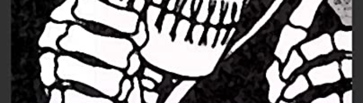 Profile banner image for BIGT