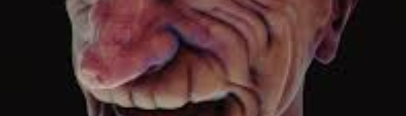 Profile banner image for LeBoisBlanc