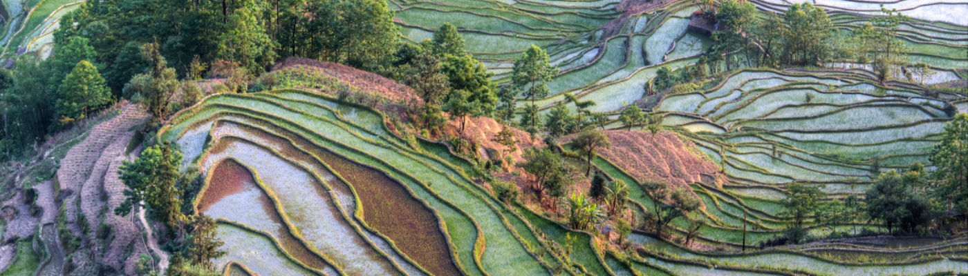 Profile banner image for Nor