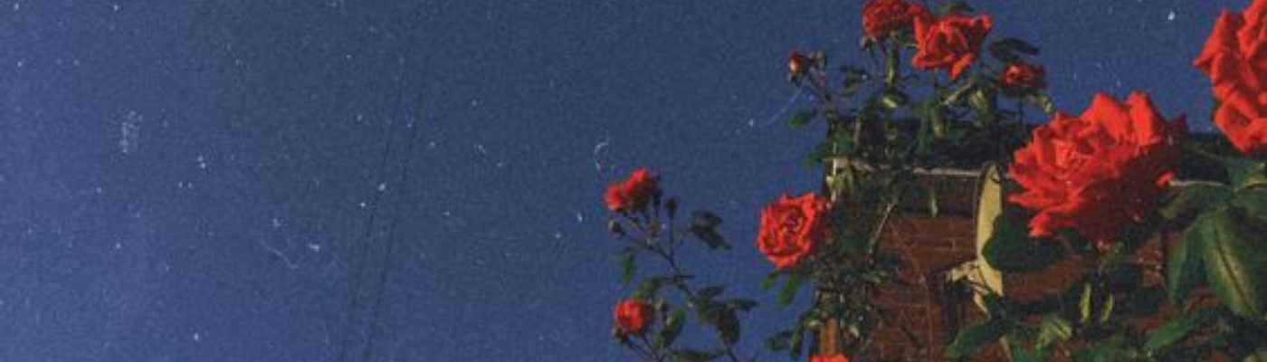 Profile banner image for cherrywine