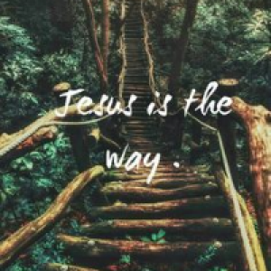 Profile avatar image for lonelymapleleaf