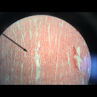 Profile avatar image for MichaelJ