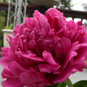 Profile avatar image for KatherineIrene