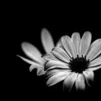 Profile avatar image for KayJayRayne