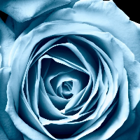 Profile avatar image for Wendy_Haynes37