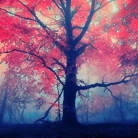 Profile avatar image for lilyann5973