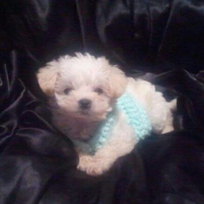 Profile avatar image for brend_izzy