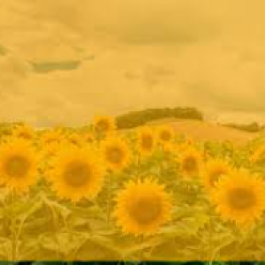 Profile avatar image for NicoAuthanas