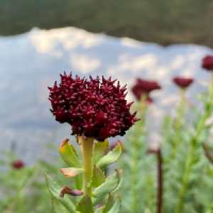 Profile avatar image for jgka