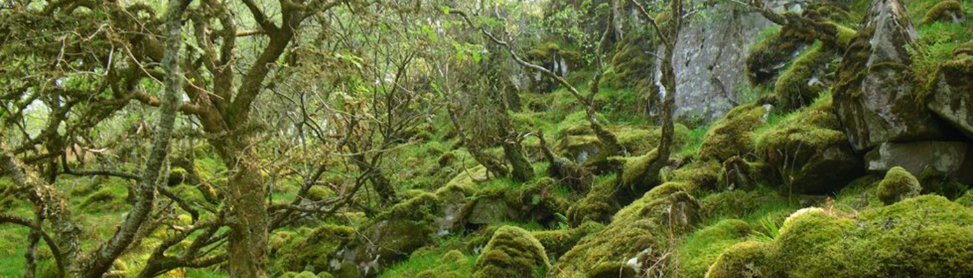 Profile banner image for ThomasDLee