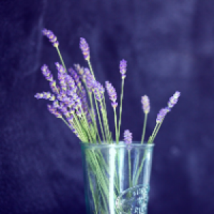 Profile avatar image for AngelicaCooper