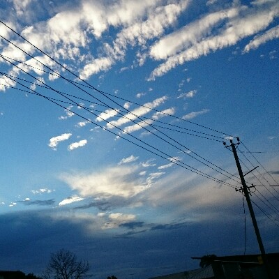 Profile avatar image for Lysteria