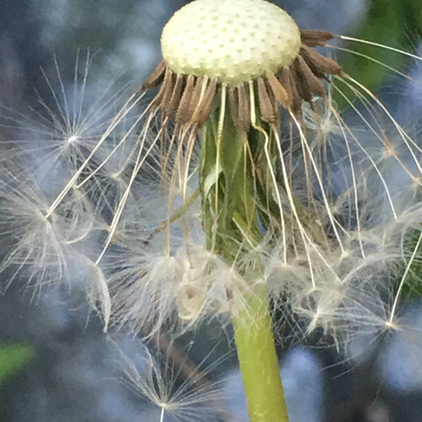 Profile avatar image for Autumnpath