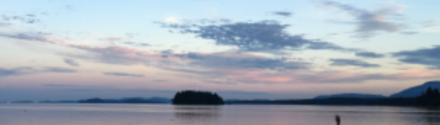 Profile banner image for elliem