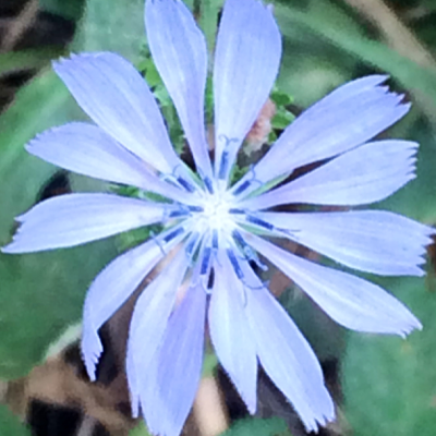 Profile avatar image for Ebnbooks