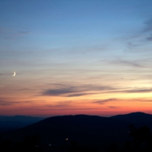 Profile avatar image for Sasha2