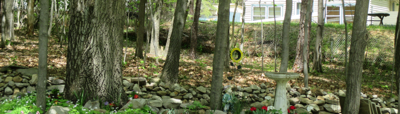 Profile banner image for Sarbear551