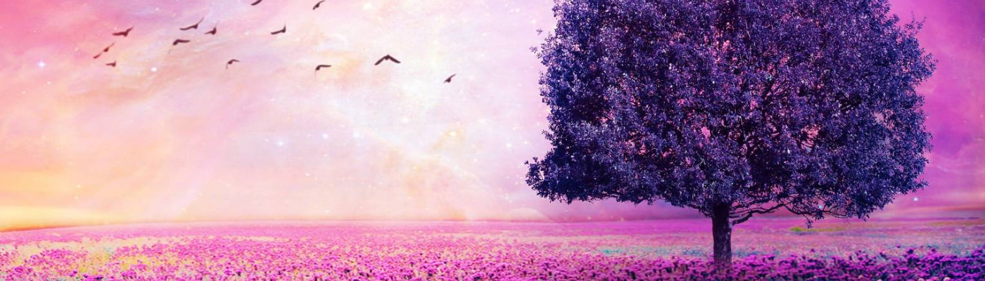 Profile banner image for MarieMozelle