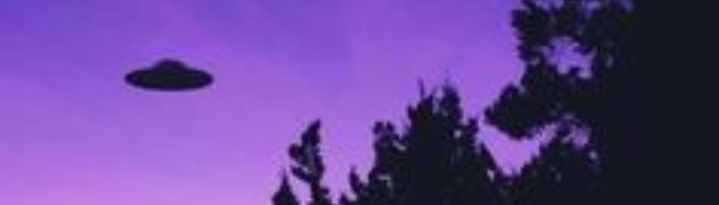 Profile banner image for Gecko